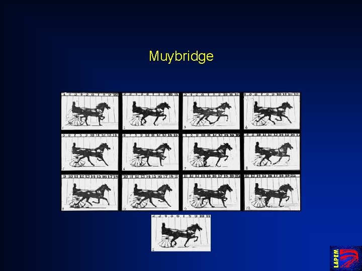 Muybridge 