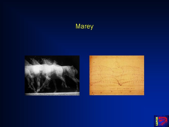 Marey 