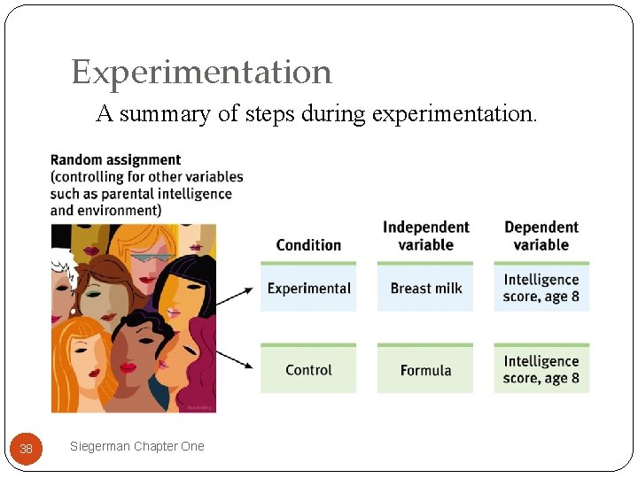 Experimentation A summary of steps during experimentation. 38 Siegerman Chapter One 