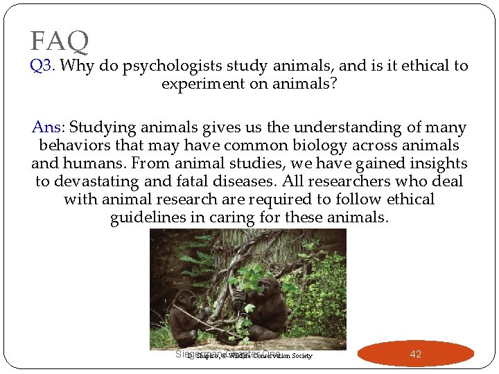 FAQ Q 3. Why do psychologists study animals, and is it ethical to experiment