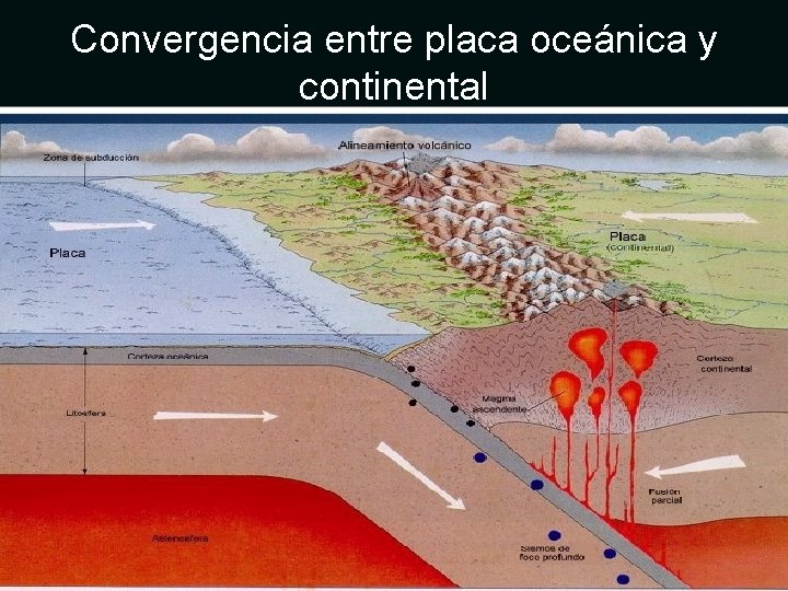 Convergencia entre placa oceánica y continental 