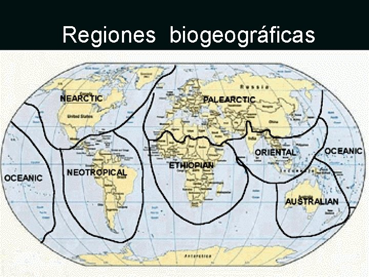 Regiones biogeográficas 