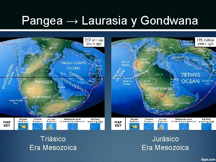 Pangea → Laurasia y Gondwana Triásico Era Mesozoica Jurásico Era Mesozoica 