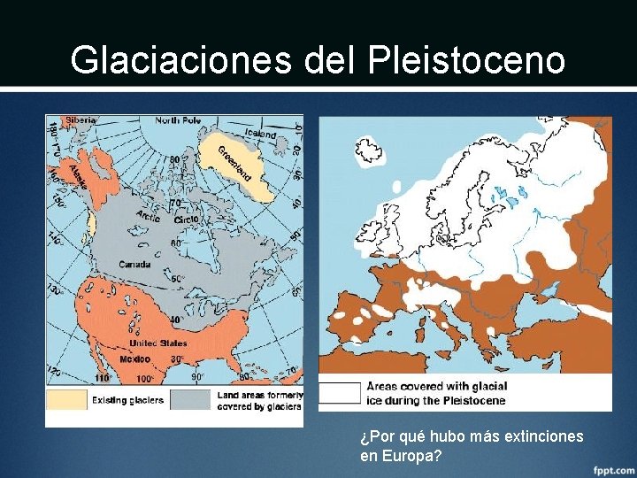 Glaciaciones del Pleistoceno ¿Por qué hubo más extinciones en Europa? 