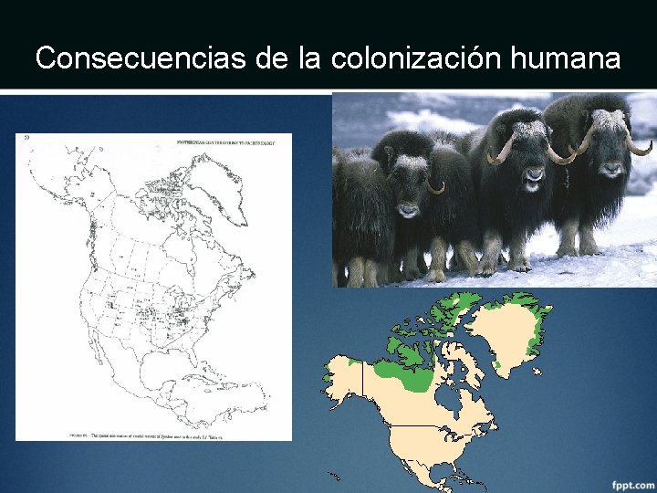 Consecuencias de la colonización humana 