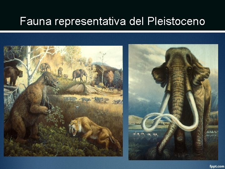 Fauna representativa del Pleistoceno 
