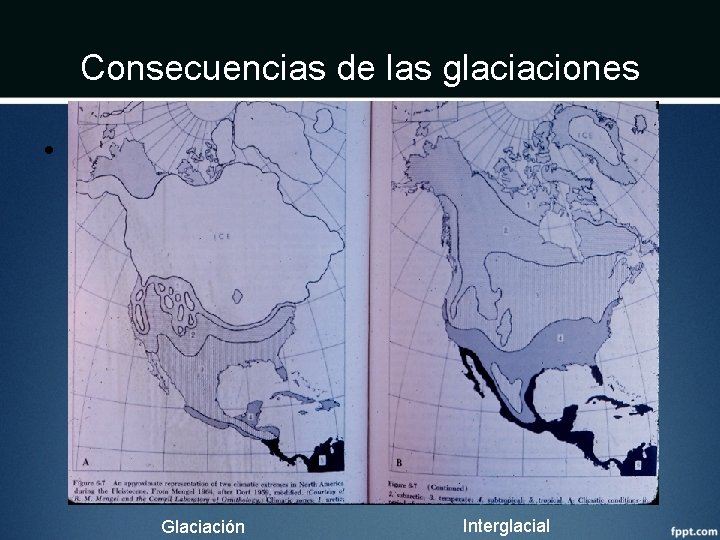 Consecuencias de las glaciaciones • Clima Glaciación Interglacial 