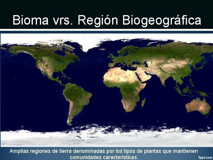 Bioma vrs. Región Biogeográfica Amplias regiones de tierra denominadas por los tipos de plantas