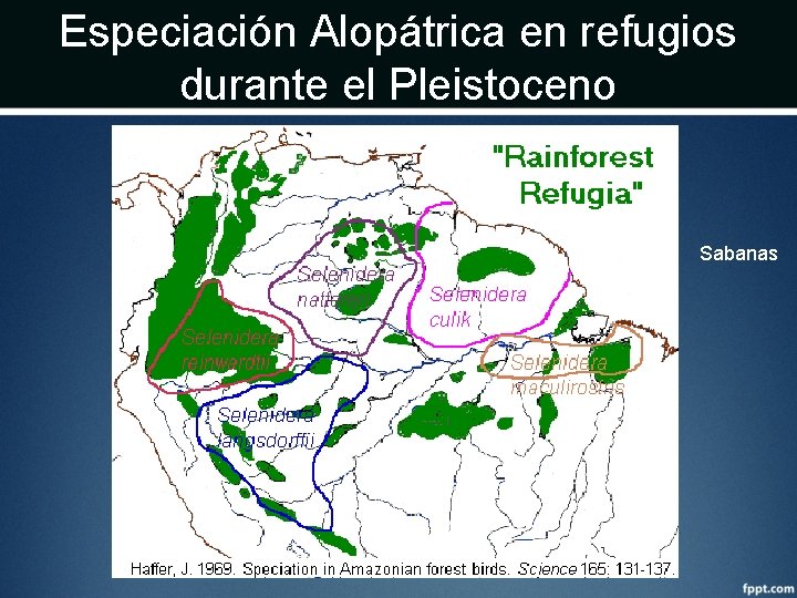 Especiación Alopátrica en refugios durante el Pleistoceno Sabanas 