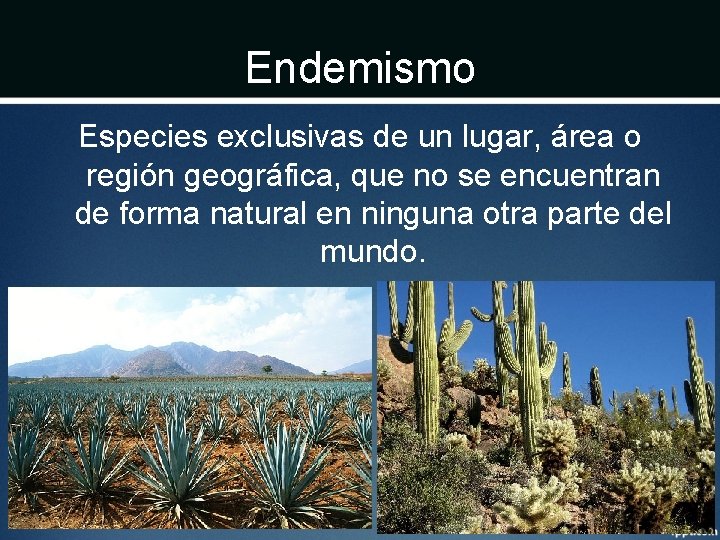 Endemismo Especies exclusivas de un lugar, área o región geográfica, que no se encuentran