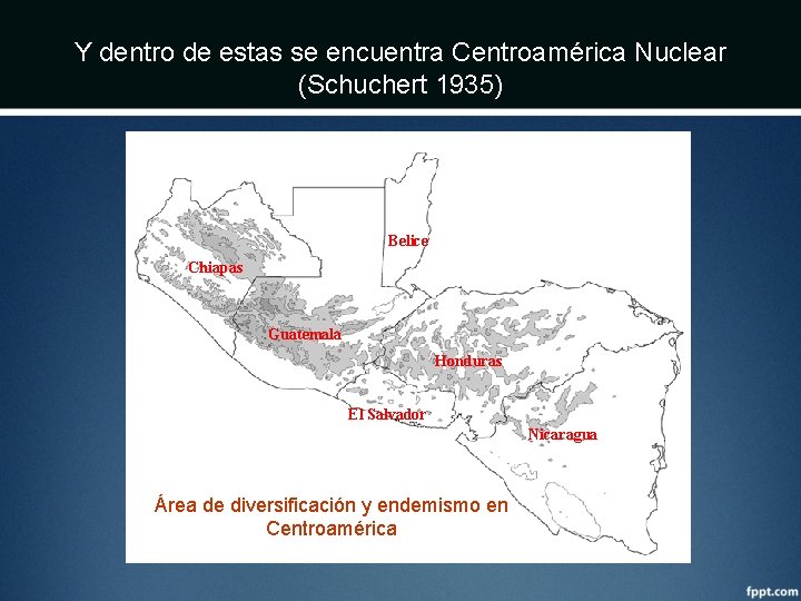 Y dentro de estas se encuentra Centroamérica Nuclear (Schuchert 1935) Belice Chiapas Guatemala Honduras