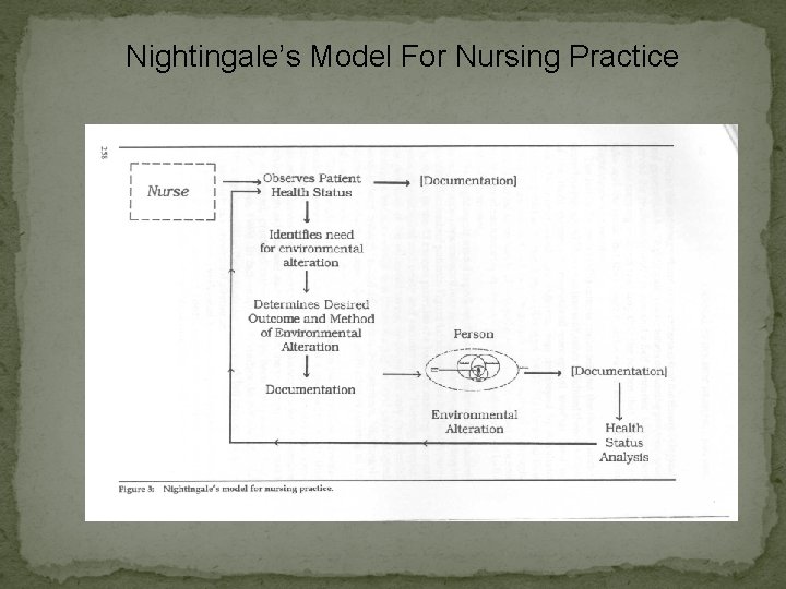 Nightingale’s Model For Nursing Practice 