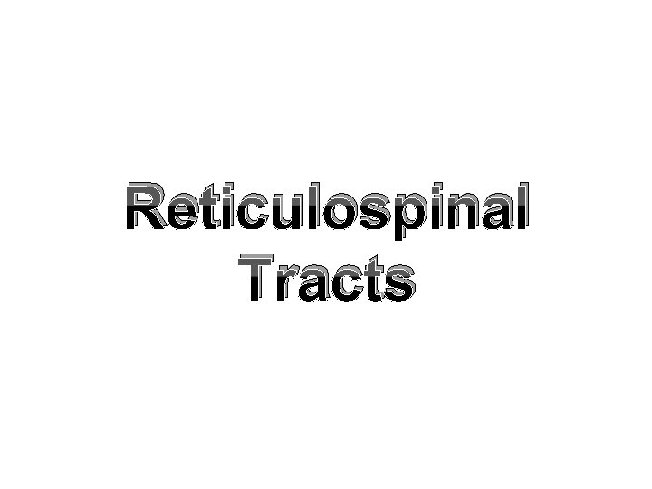 Reticulospinal Tracts 