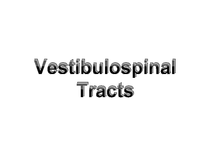 Vestibulospinal Tracts 