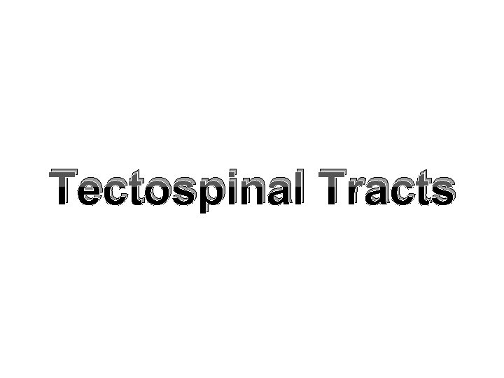 Tectospinal Tracts 