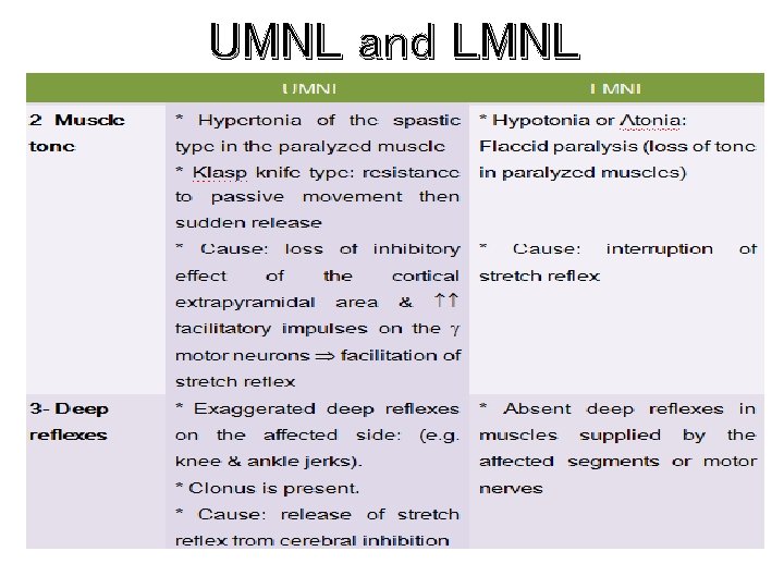 UMNL and LMNL 