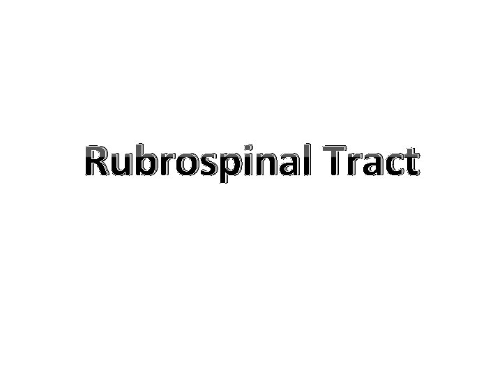 Rubrospinal Tract 