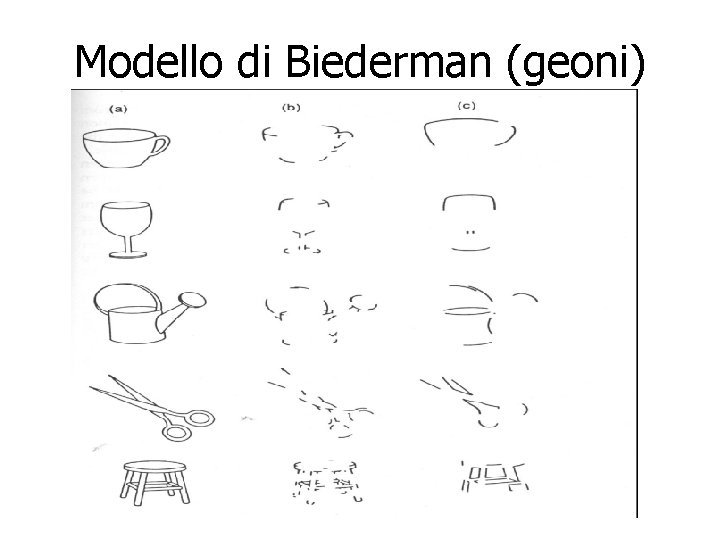 Modello di Biederman (geoni) 