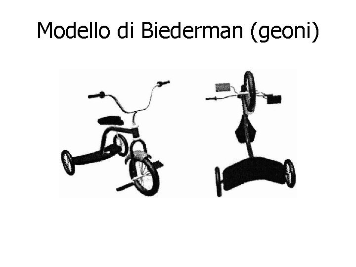 Modello di Biederman (geoni) 