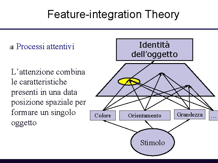 Feature-integration Theory Identità dell’oggetto Processi attentivi L’attenzione combina le caratteristiche presenti in una data