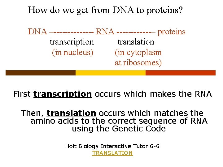 How do we get from DNA to proteins? DNA –------- RNA ------– proteins transcription