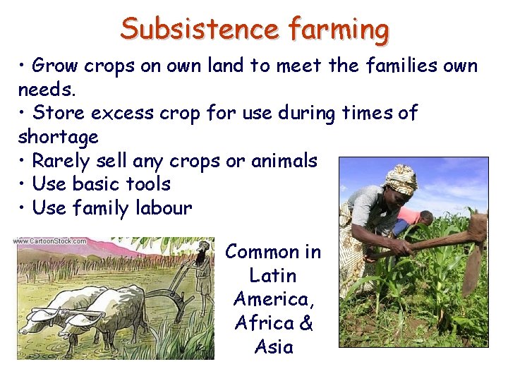 Subsistence farming • Grow crops on own land to meet the families own needs.