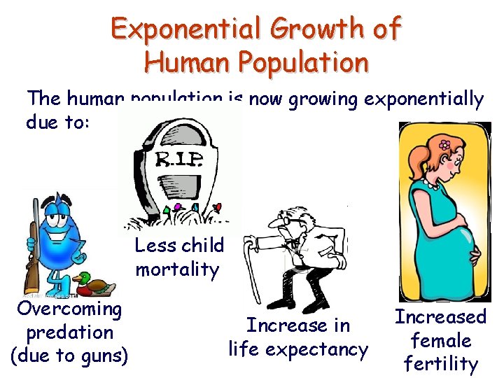 Exponential Growth of Human Population The human population is now growing exponentially due to: