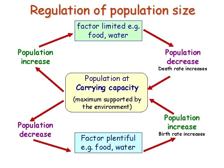 Regulation of population size factor limited e. g. food, water Population increase Population decrease