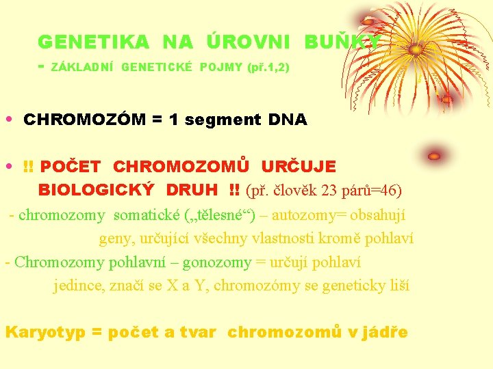 GENETIKA NA ÚROVNI BUŇKY - ZÁKLADNÍ GENETICKÉ POJMY (př. 1, 2) • CHROMOZÓM =