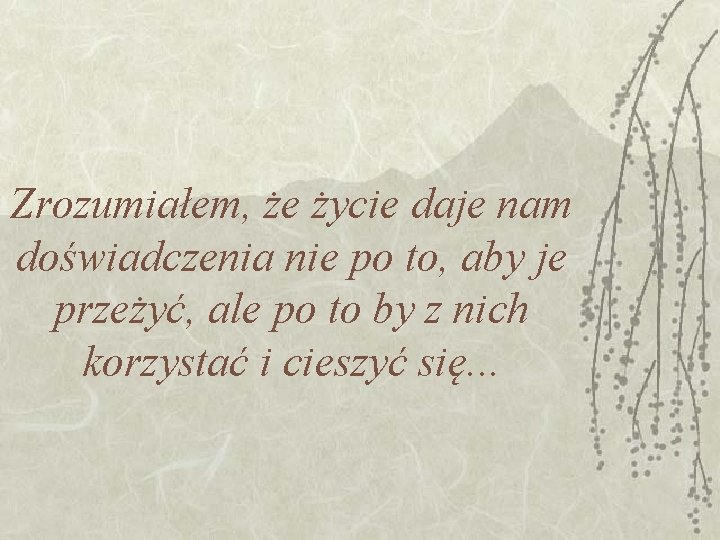 Zrozumiałem, że życie daje nam doświadczenia nie po to, aby je przeżyć, ale po Zrozumiałem, że życie daje nam doświadczenia nie po to, aby je przeżyć, ale po