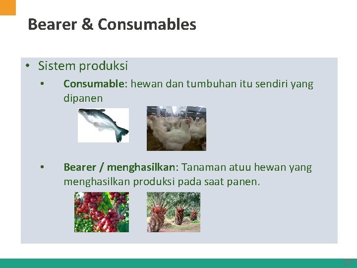 Bearer & Consumables • Sistem produksi • Consumable: hewan dan tumbuhan itu sendiri yang