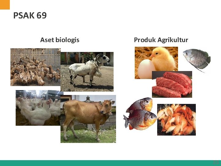 PSAK 69 Aset biologis Produk Agrikultur 33 