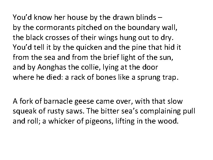 You’d know her house by the drawn blinds – by the cormorants pitched on