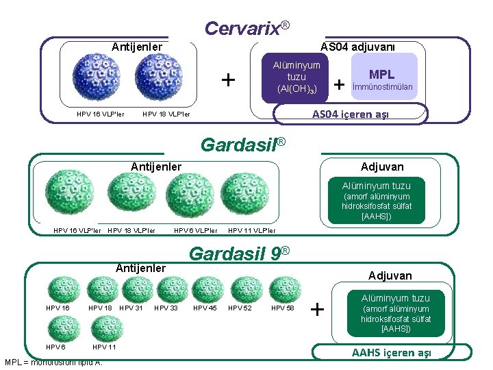 Cervarix® Antijenler AS 04 adjuvanı + HPV 16 VLP'ler Alüminyum tuzu (Al(OH)3) + MPL