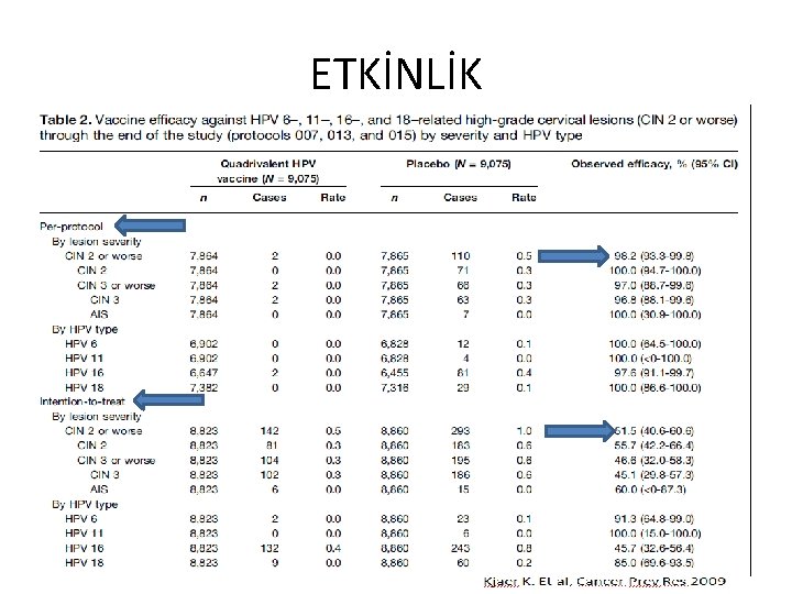 ETKİNLİK 