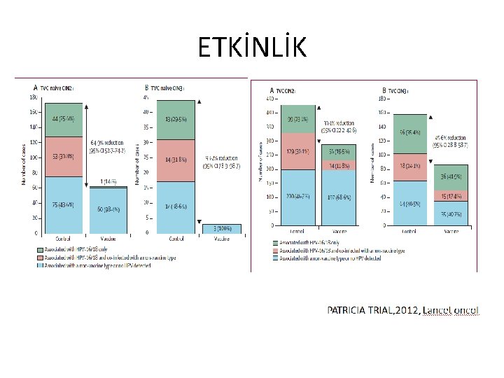 ETKİNLİK 