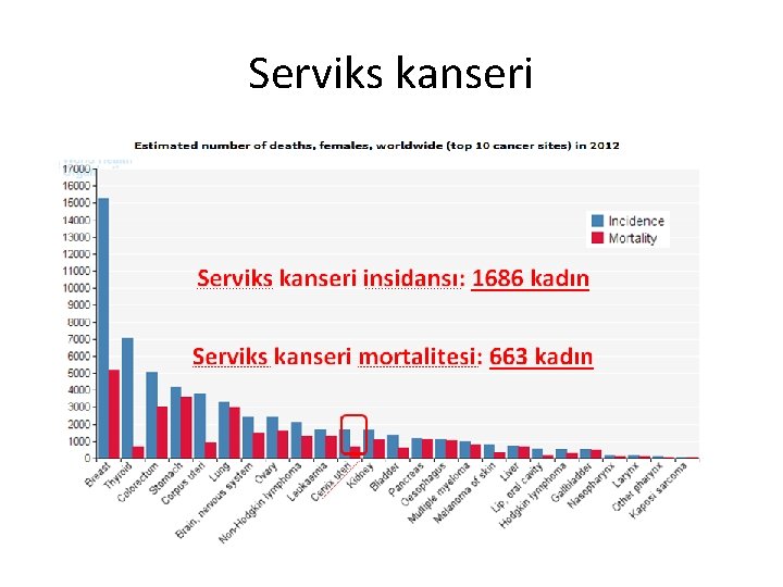 Serviks kanseri 