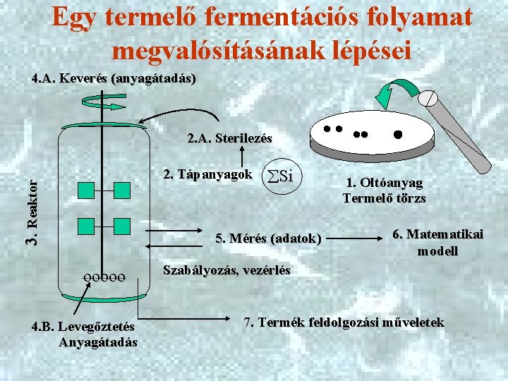 Egy termelő fermentációs folyamat megvalósításának lépései 4. A. Keverés (anyagátadás) 2. A. Sterilezés 3.