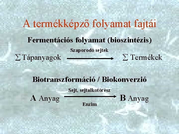 A termékképző folyamat fajtái Fermentációs folyamat (bioszintézis) Tápanyagok Szaporodó sejtek Termékek Biotranszformáció / Biokonverzió