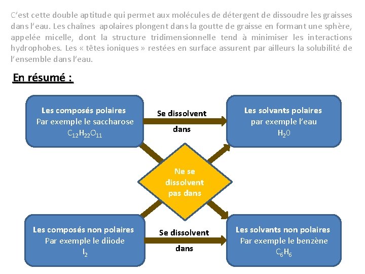 C’est cette double aptitude qui permet aux molécules de détergent de dissoudre les graisses