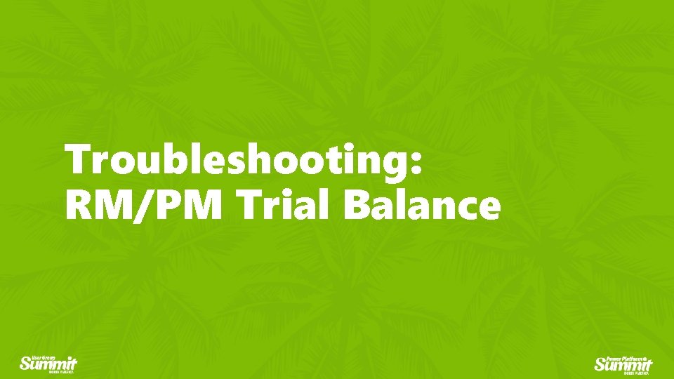 Troubleshooting: RM/PM Trial Balance 