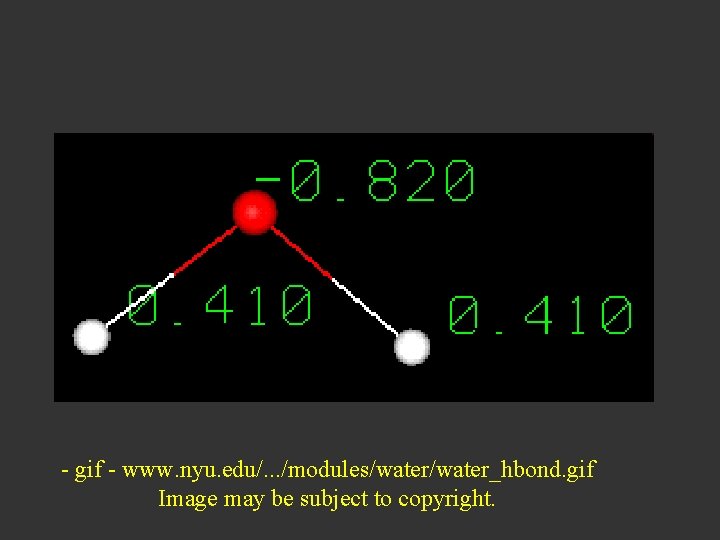 - gif - www. nyu. edu/. . . /modules/water_hbond. gif Image may be subject