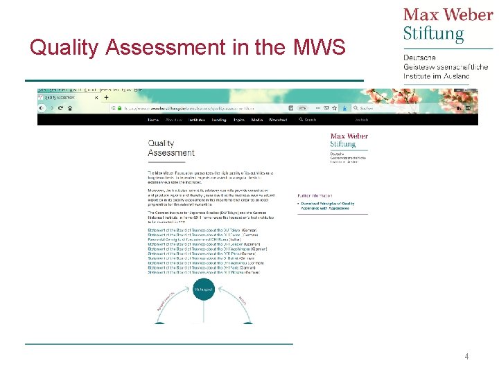 Quality Assessment in the MWS 4 