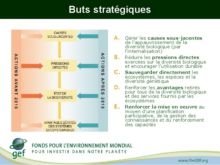 Buts stratégiques A. Gérer les causes sous-jacentes B. C. D. E. de l’appauvrissement de