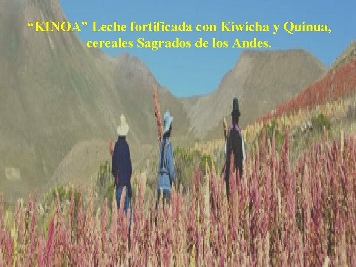 “KINOA” Leche fortificada con Kiwicha y Quinua, cereales Sagrados de los Andes. 