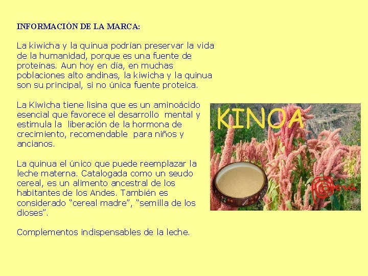 INFORMACIÓN DE LA MARCA: La kiwicha y la quinua podrían preservar la vida de