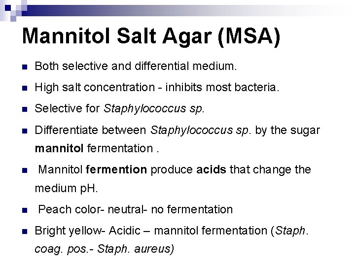 Mannitol Salt Agar (MSA) n Both selective and differential medium. n High salt concentration