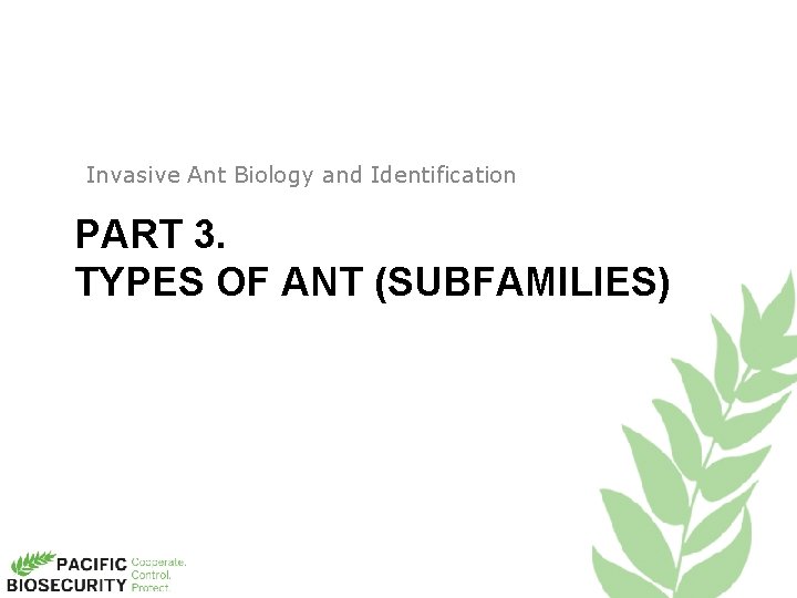 Invasive Ant Biology and Identification PART 3. TYPES OF ANT (SUBFAMILIES) 