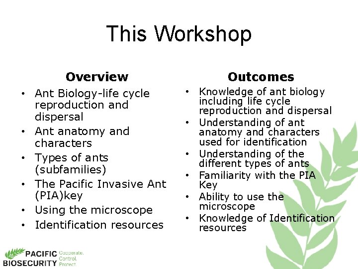 This Workshop Overview • Ant Biology-life cycle reproduction and dispersal • Ant anatomy and