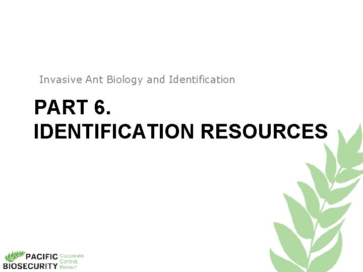 Invasive Ant Biology and Identification PART 6. IDENTIFICATION RESOURCES 